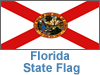 Florida State Flag - Pre-Employment Screening